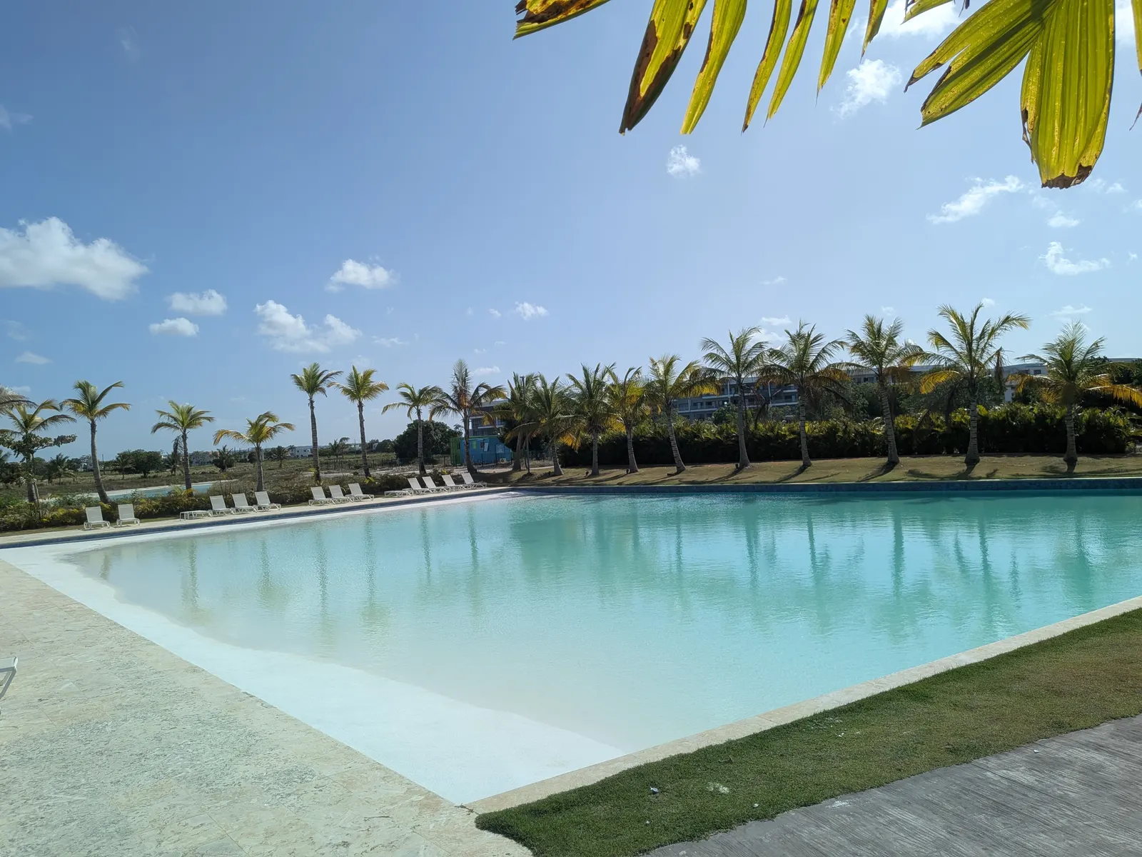 A resort pool in the Vistacana community, lined with palm trees
